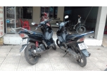 nouvo2  & hayate for sale ort rent in Nha trang city