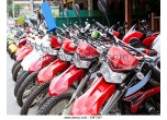 CHEAP MOTORBIKE FOR RENT IN HANOI 5$ (415 Hong ha, hoan kiem, hanoi HANOI )