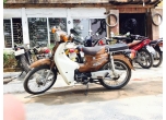 Honda Cub New