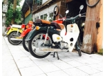 Honda Cub New