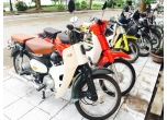 Honda Cub New